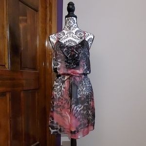 Magazine Leopard Print Dress